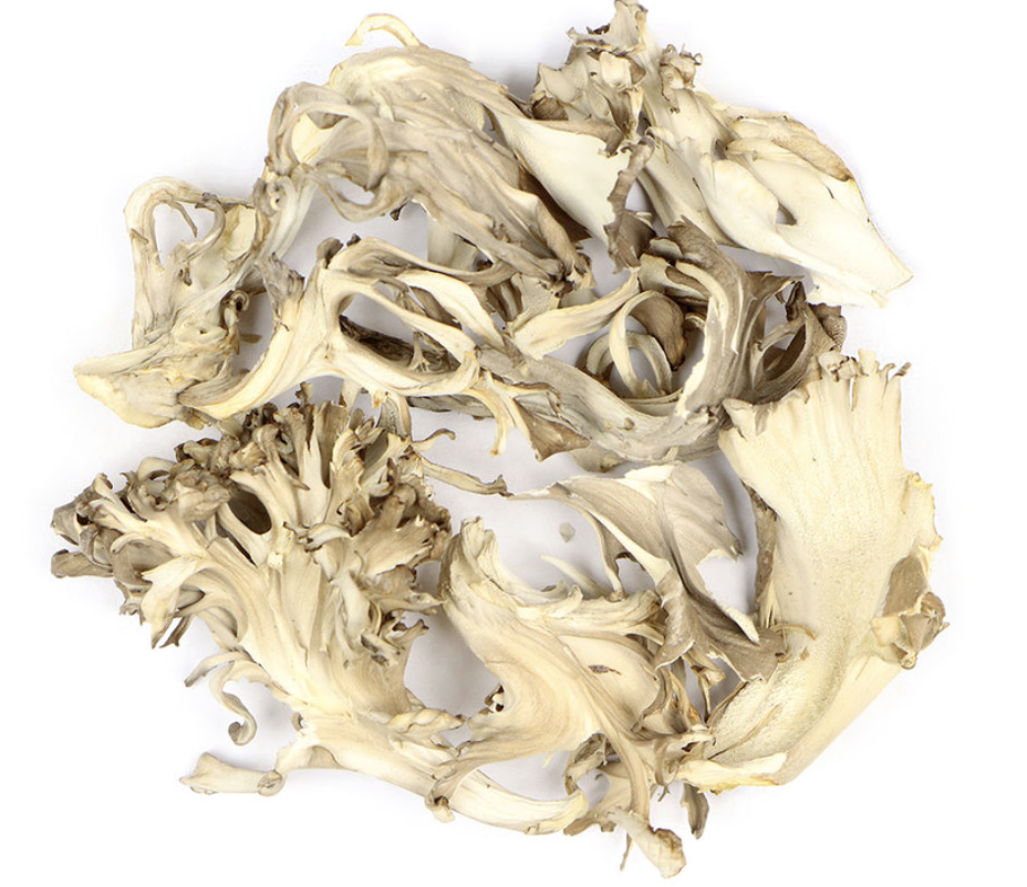 Maitaki Mushroom