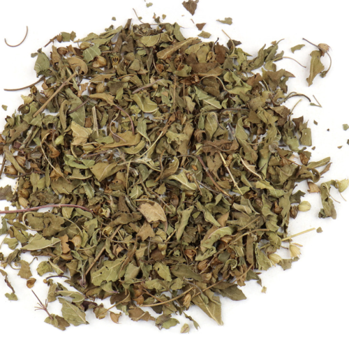 Holy Basil - Krishna