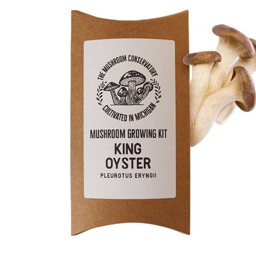 King Oyster Gourmet Mushroom Growing Kit