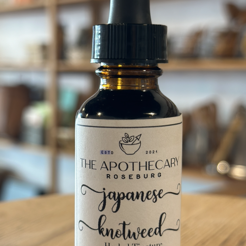 Japanese Knotweed tincture