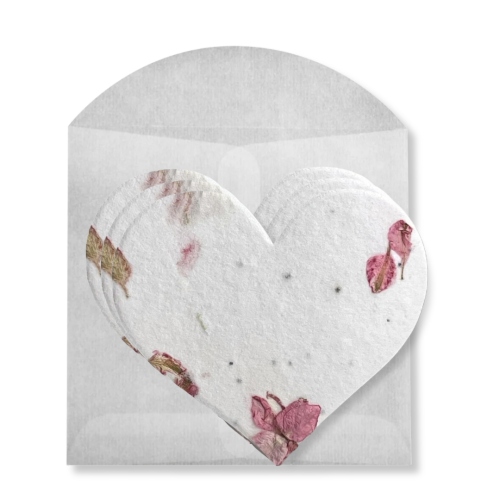 Paper Baristas - Plantable Seed Valentines | Set of 3 | Flower Greeting Card